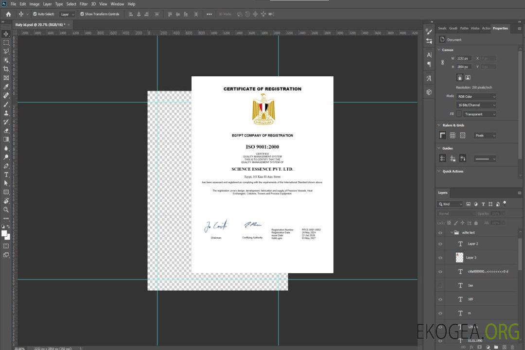 Modèle Word et PDF de certificat d'enregistrement en Égypte template